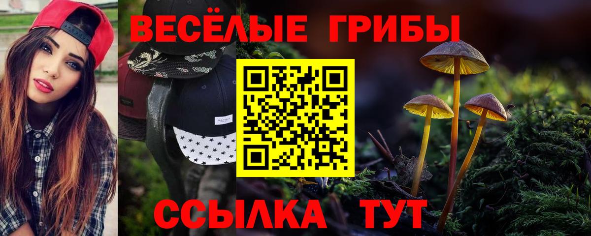 Лыткарино  Псилоцибиновые грибы ЛСД  Вход с VPN 