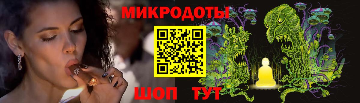 Галлюциногенные грибы Psilocybe Лыткарино